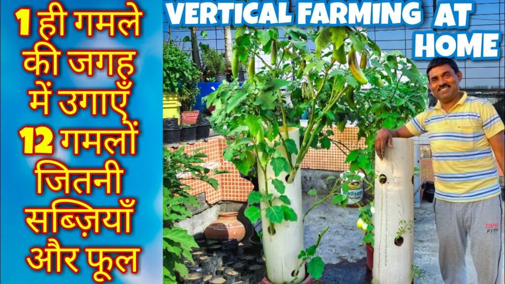 छोटी जगह में बड़ी खेती – टावर फार्मिंग का आसान तरीका