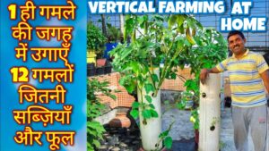 छोटी जगह में बड़ी खेती – टावर फार्मिंग का आसान तरीका