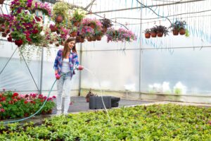 Beginner टेरेस गार्डन कैसे शुरू करें? – Step-by-Step आसान गाइड