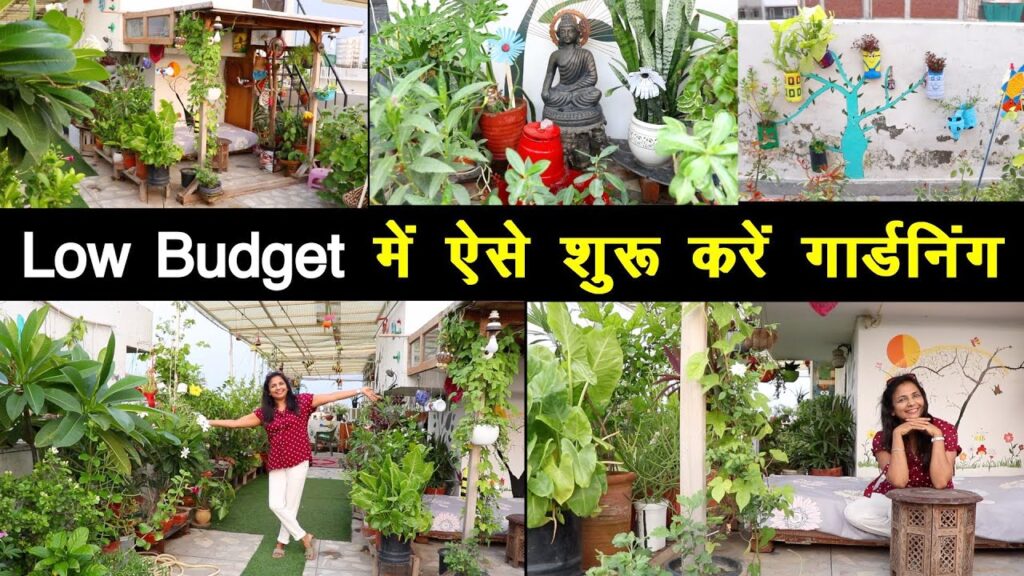 जीरो बजट में बनाइए खूबसूरत टेरेस गार्डन – आर्चना गोस्वामी का शानदार आइडिया