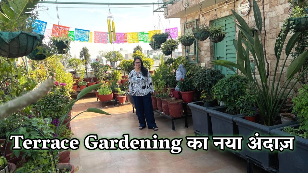 किशी अरोड़ा के टेरेस गार्डन की खूबसूरत झलक – नारंगी से लेकर कस्टर्ड एप्पल तक