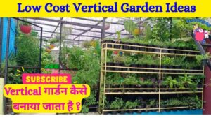 खाली दीवार को बनाएं खूबसूरत वर्टिकल गार्डन – आसान और परमानेंट तरीका