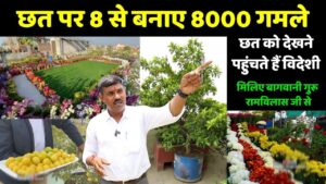 8 गमलों से 8000 गमलों का सफर – राम विलास जी की छत पर बना गार्डन स्टेडियम