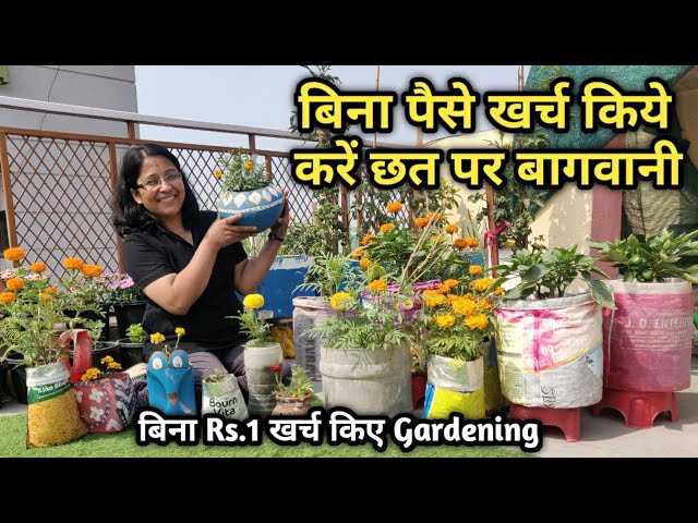 ज़ीरो इन्वेस्टमेंट से गार्डनिंग – घर के पुराने सामान से बनाएं खूबसूरत बगिया