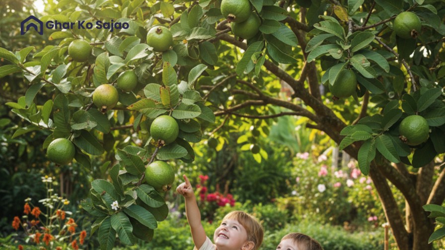गार्डन में लगाने वाले पेड़: अपने बगीचे को बनाएं हरियाली से भरपूर और सुंदर