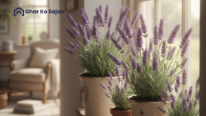 ghar me konsa plant lagana chahiye?