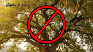 घर के सामने कौनसा पेड़ नहीं लगाना चाहिए?