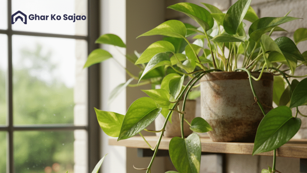 घर के अंदर लगाने वाले पौधे: सुंदरता, सेहत और शुभता का संगम