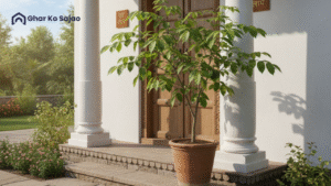 बेलपत्र का पौधा कहां लगाना चाहिए: घर और पूजा स्थान के लिए पूरी गाइड 🌿