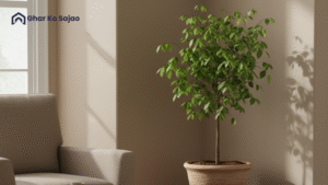 बेलपत्र का पौधा घर में लगाना चाहिए या नहीं: जानें सभी फायदे और सावधानियां