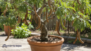 इमली का पेड़ शुभ है या अशुभ: जानें पूरी सच्चाई