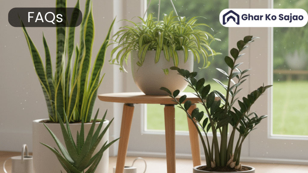 Ghar me kounsa plant lagana chahiye? – 15 FAQs के साथ गाइड