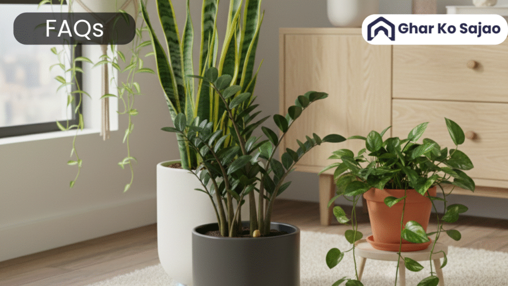 कौनसे पांच पौधे घर में लगाना चाहिए? 15 FAQs