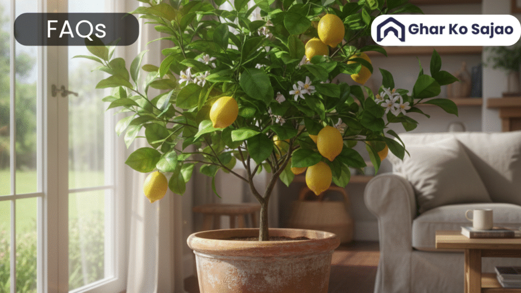 घर में नींबू का पेड़ शुभ है या अशुभ? 15 FAQs