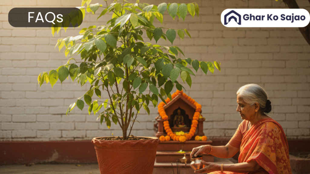 बेलपत्र का पौधा कहां लगाना चाहिए? | बेलपत्र पौधे से जुड़े 15 FAQs