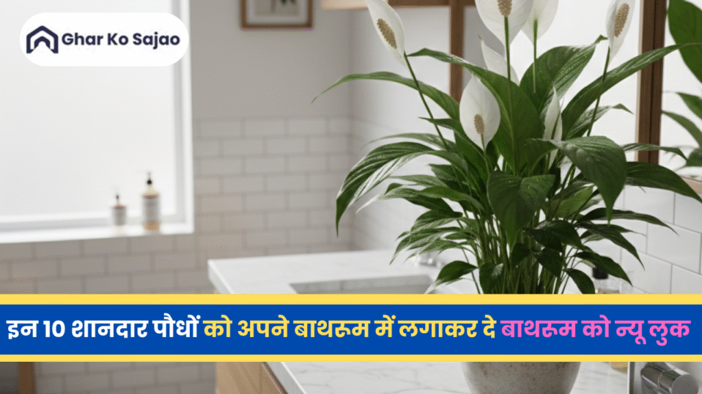 बाथरूम में कौनसे पौधे लगाएं? – हर सुबह को ताज़गी भरा बनाएं
