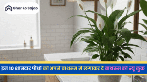 बाथरूम में कौनसे पौधे लगाएं? – हर सुबह को ताज़गी भरा बनाएं